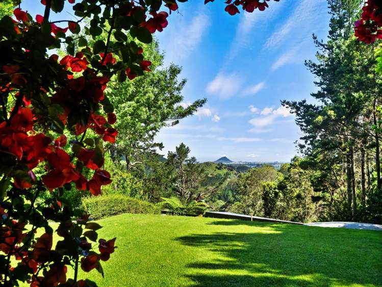 Address withheld Welcome Bay_12