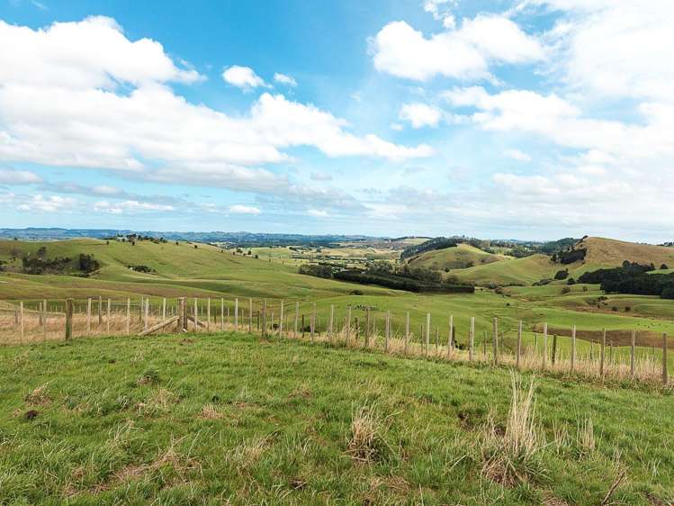 149 Waller Road Puni_9