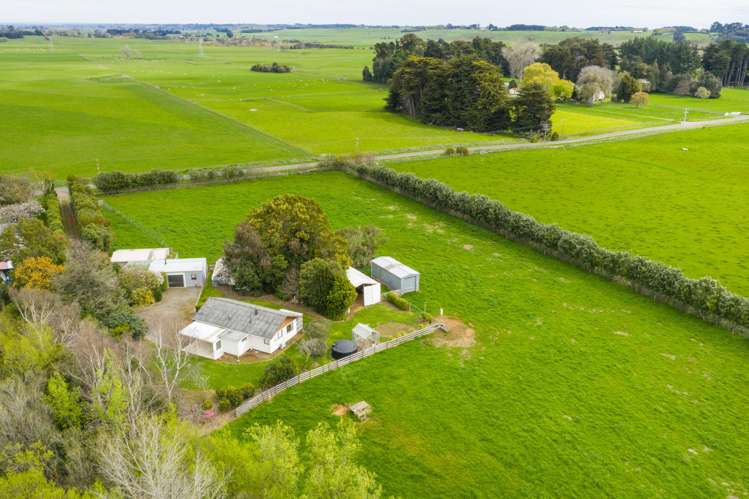 260 Haynes Line Feilding_28