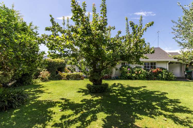 16 Otatara Road Taradale_8