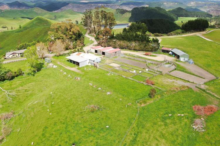 166 Airstrip Road Pikowai_6