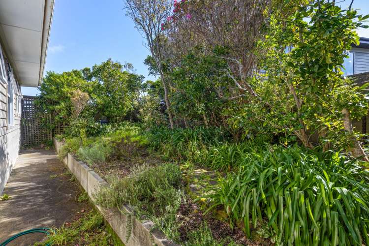 42 Alexandra Road Hataitai_19