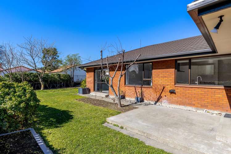 223 Redwood Street Witherlea_20