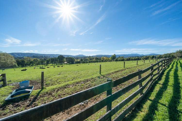 199 Mangaroa Valley Road Mangaroa_25