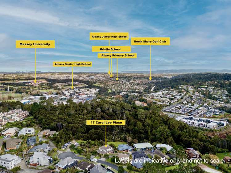 17 Carol Lee Place Albany Heights_36