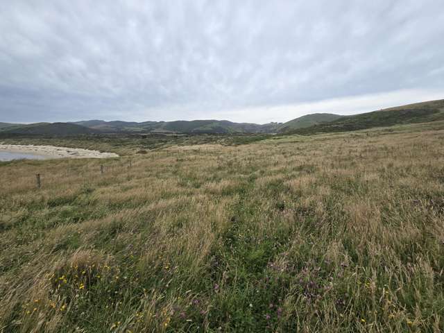 Cannibal Bay Rd Catlins Surrounds_4