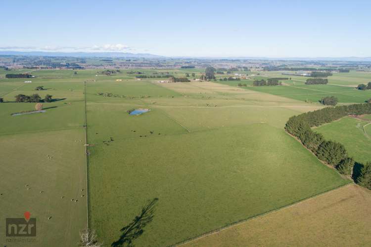 1347 State Highway 1 Marton_6