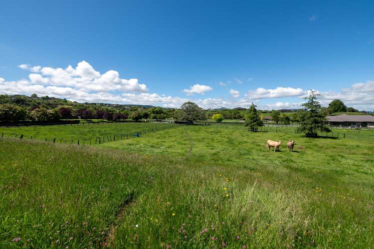 9 Ascot Vale Tikitere_28