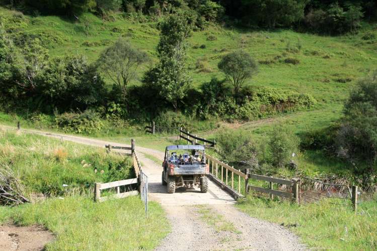 1 Waitaanga Road Ahititi_34