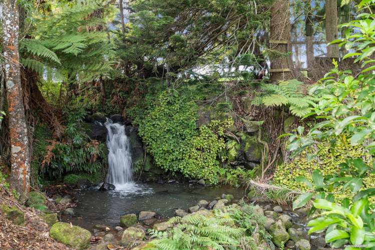 139 Dominion Road Tuakau_5