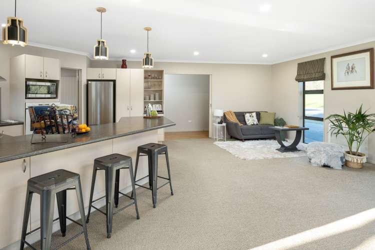 35 Forest Park Drive Witherlea_5