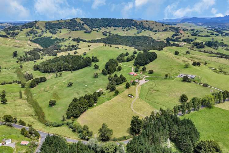 Pipiwai Road Purua_39