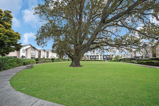 55 Waituarua Drive Conifer Grove_2