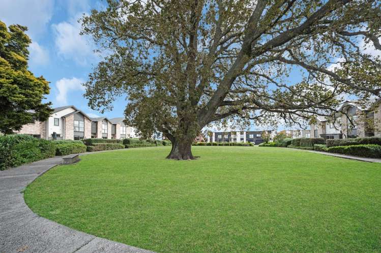 55 Waituarua Drive_1