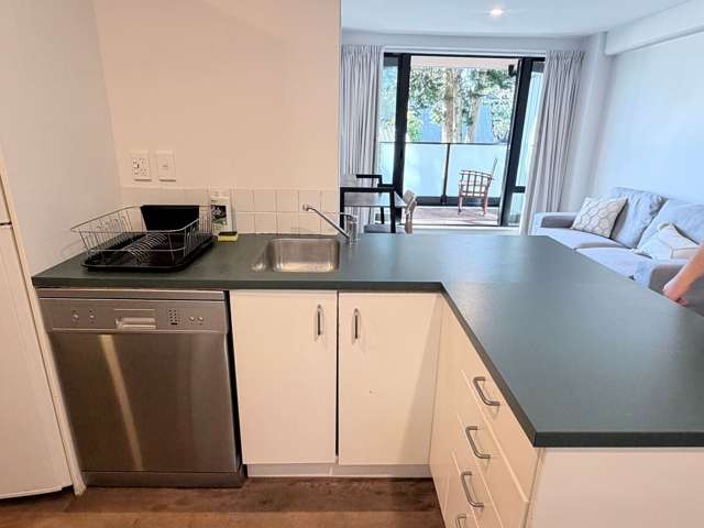 250 Richmond Road Grey Lynn_3