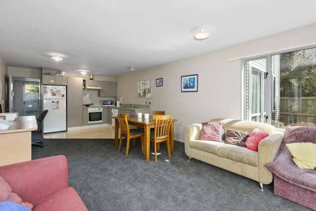 695 Castle Street North Dunedin_2