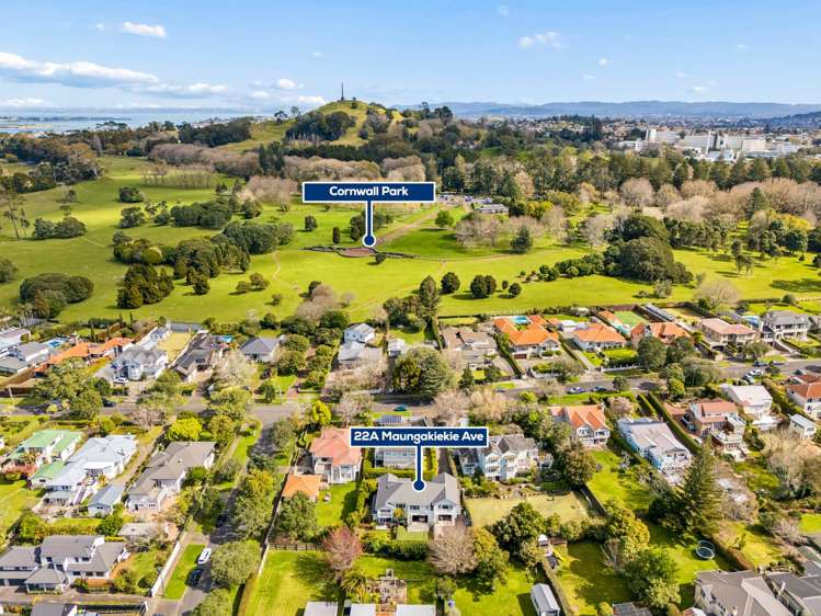22A Maungakiekie Avenue Greenlane_35