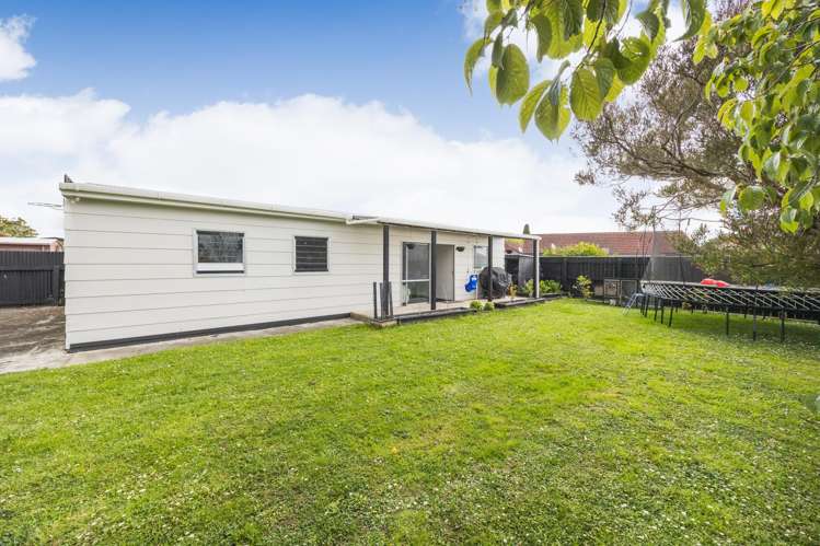 17 Alexander Street Awapuni_15