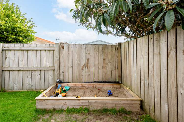 105 Dominion Road Nawton_13