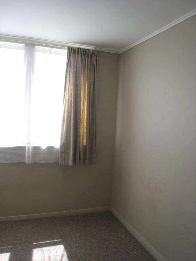 66 Canada Street Morrinsville_3