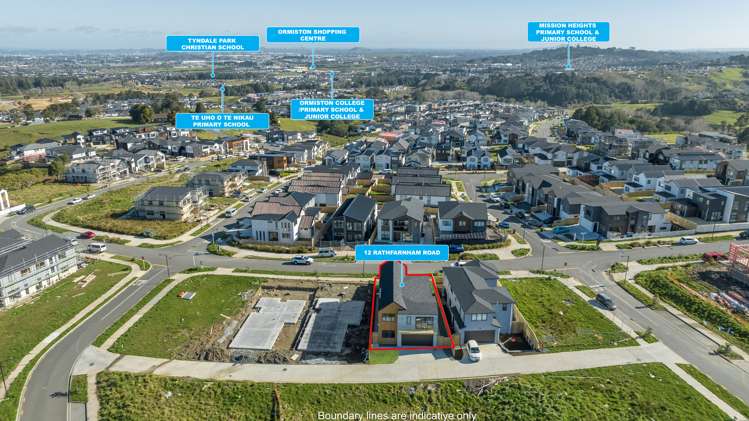 12 Rathfarnham Road Flat Bush_35