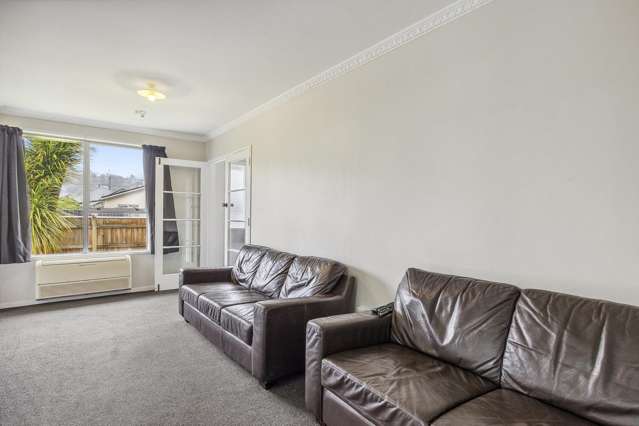 17a Buccleugh Street North East Valley_4