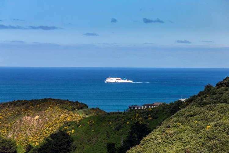 81 Beacon Hill Road Strathmore Park_18