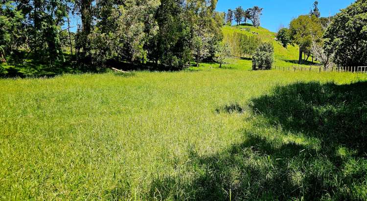 350A Bothwell Park Road Waiuku_20