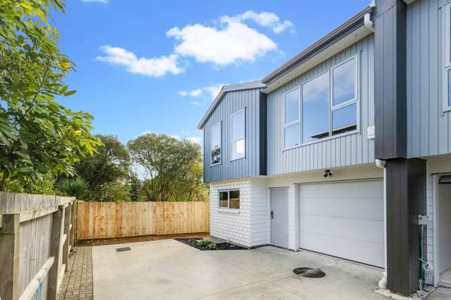 164 Princes Street East Otahuhu_2