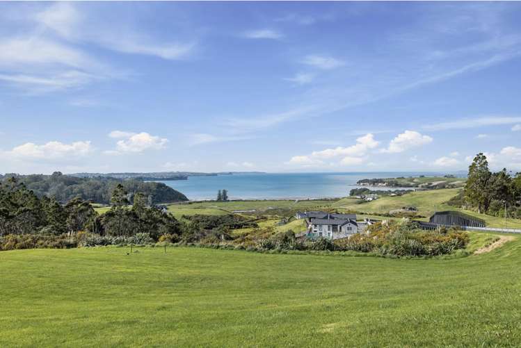 Lot136 Weiti Bay Okura Bush_9