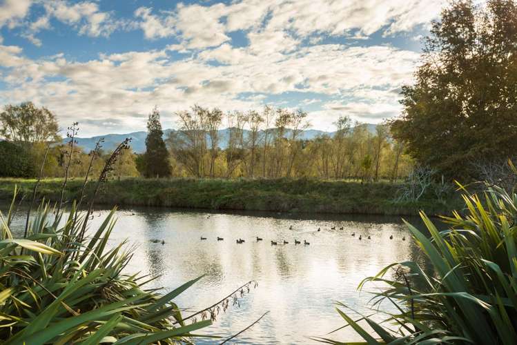 13 Noble Johnston Drive Katikati_26