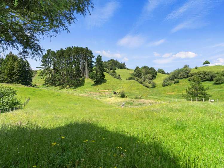 946 Limeworks Loop Road Te Pahu_20