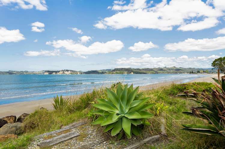 109B Buffalo Beach Road Whitianga_24