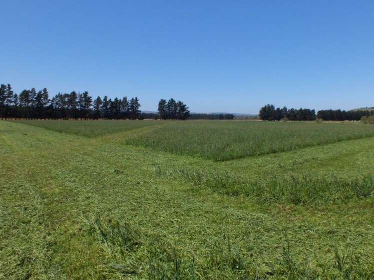 55 Costellos Road Hawarden_11