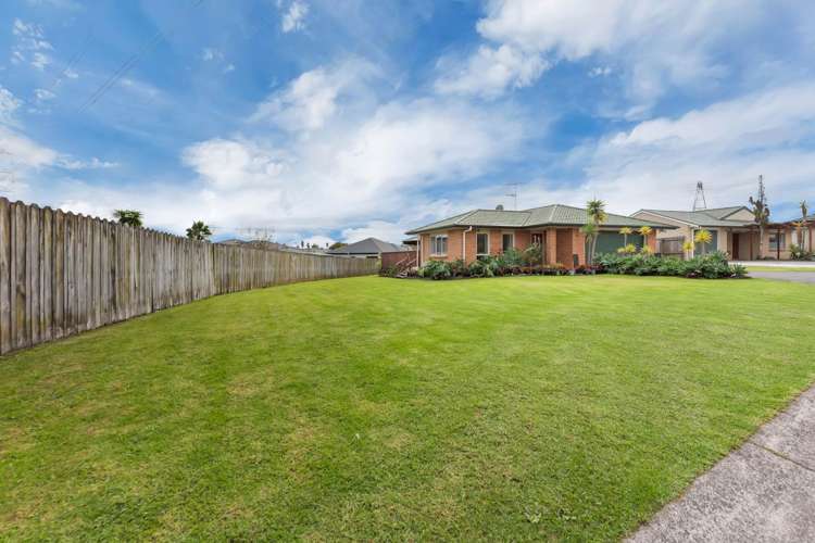 46 Medvale Avenue Flat Bush_23