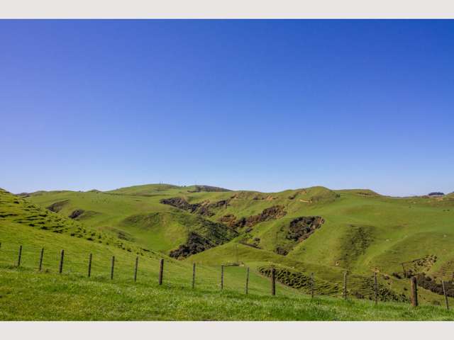 1456 Rangitatau East Road Ruapehu-King Country Surrounds_2