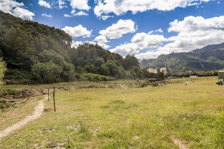 Camerons Road Havelock_5