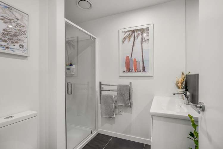 8 Te Ara O Te Amo Hohipene Petone_10