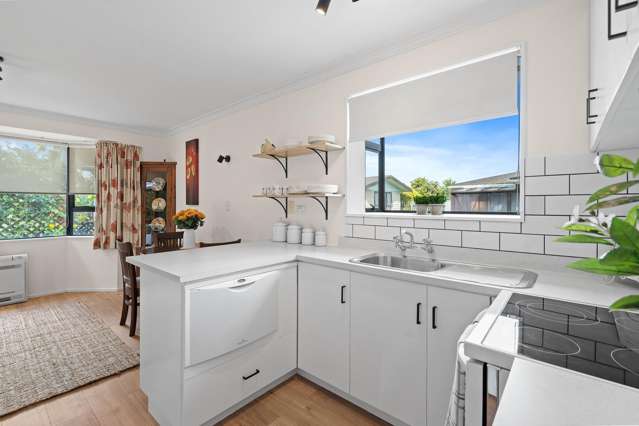 16c Renall Street Masterton_3