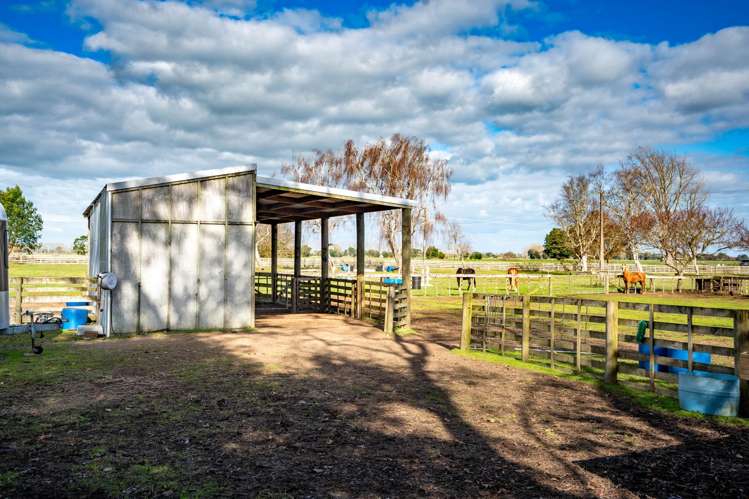 293 Woodlands Road Gordonton_27