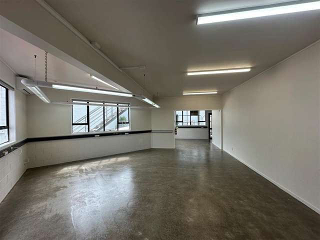 16 Botha Road Penrose_2