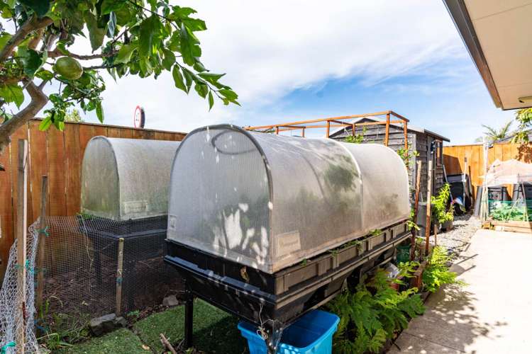 13 Sando Way One Tree Point_19