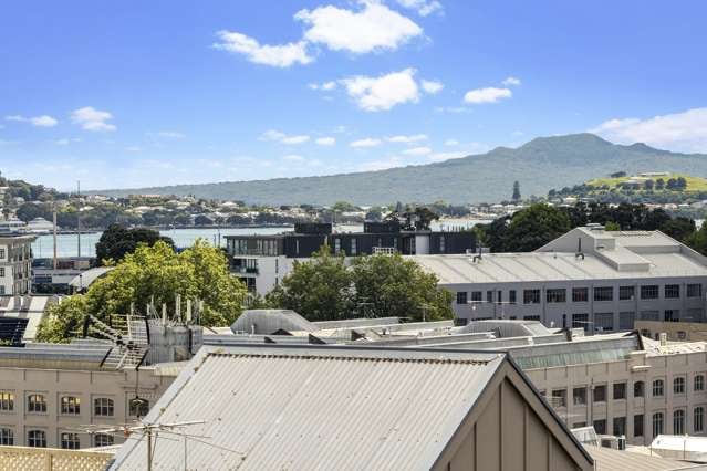 24 Bradford Street Parnell_1