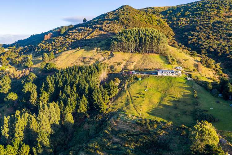 160 Manapouri Street Saint Leonards_18