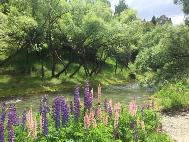 90 Whitechapel Road Arrow Junction_16