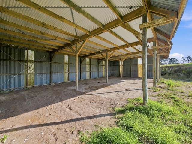 113 Tatarariki Spur Road Te Kopuru_2