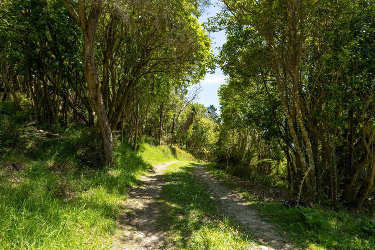 565 Anakoha Road Marlborough Sounds_47