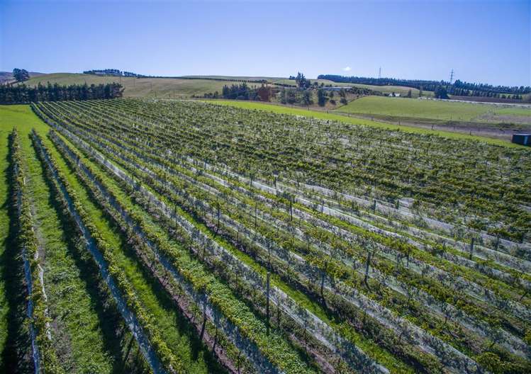 337 Mackenzies Road Waipara_7