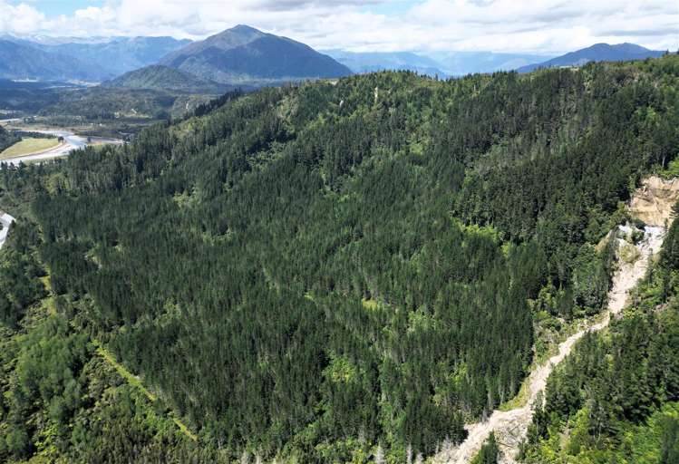Humphreys Gully Road Hokitika_9