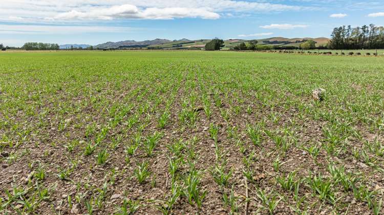 69 High Street Hawarden_6